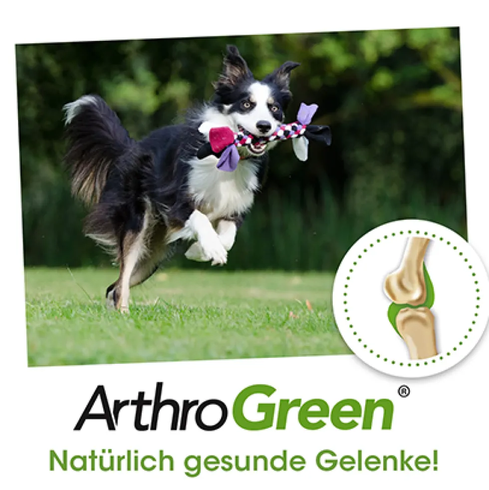 ArthroGreen Gelenkfit 70 g