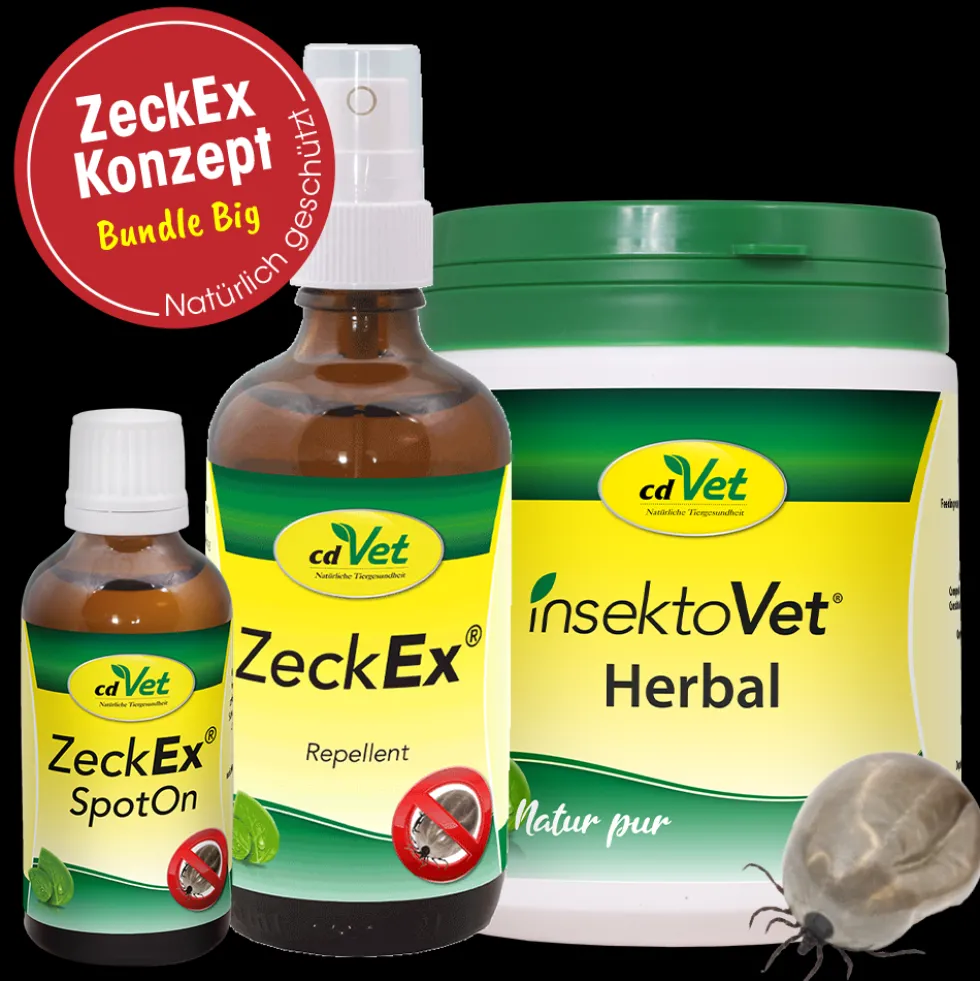 Bundle ZeckEx-Konzept Big