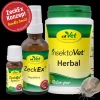 Bundle ZeckEx-Konzept Small