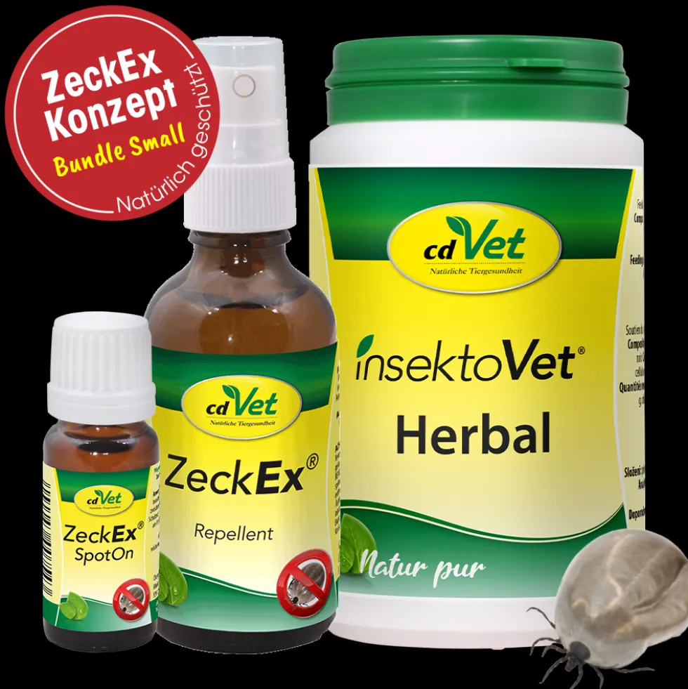 Bundle ZeckEx-Konzept Small