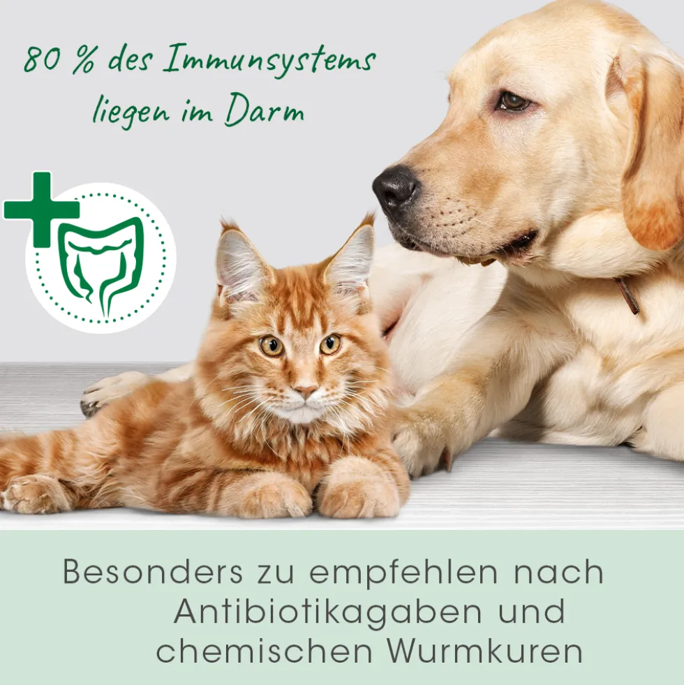 DarmAktiv plus 100 ml