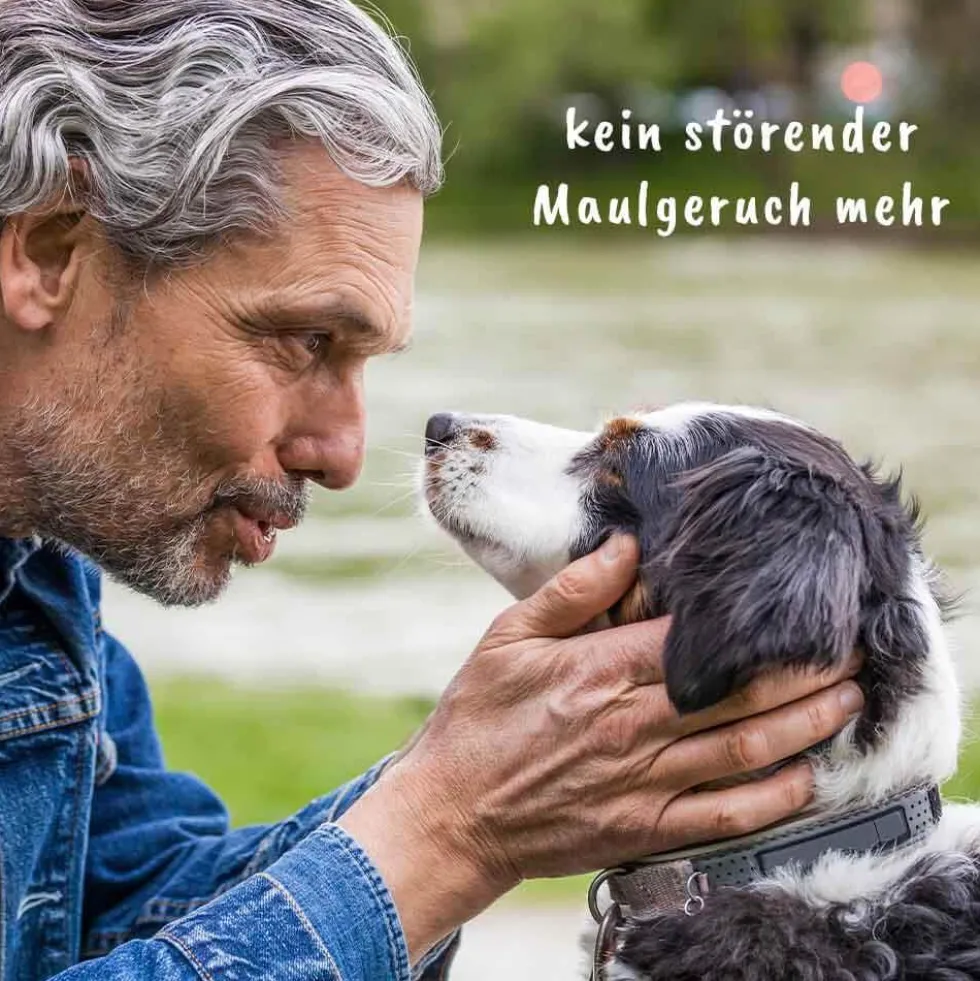 dentaVet Atemfrisch 40 g