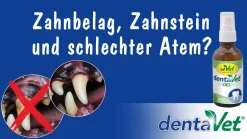 dentaVet Öl 20ml