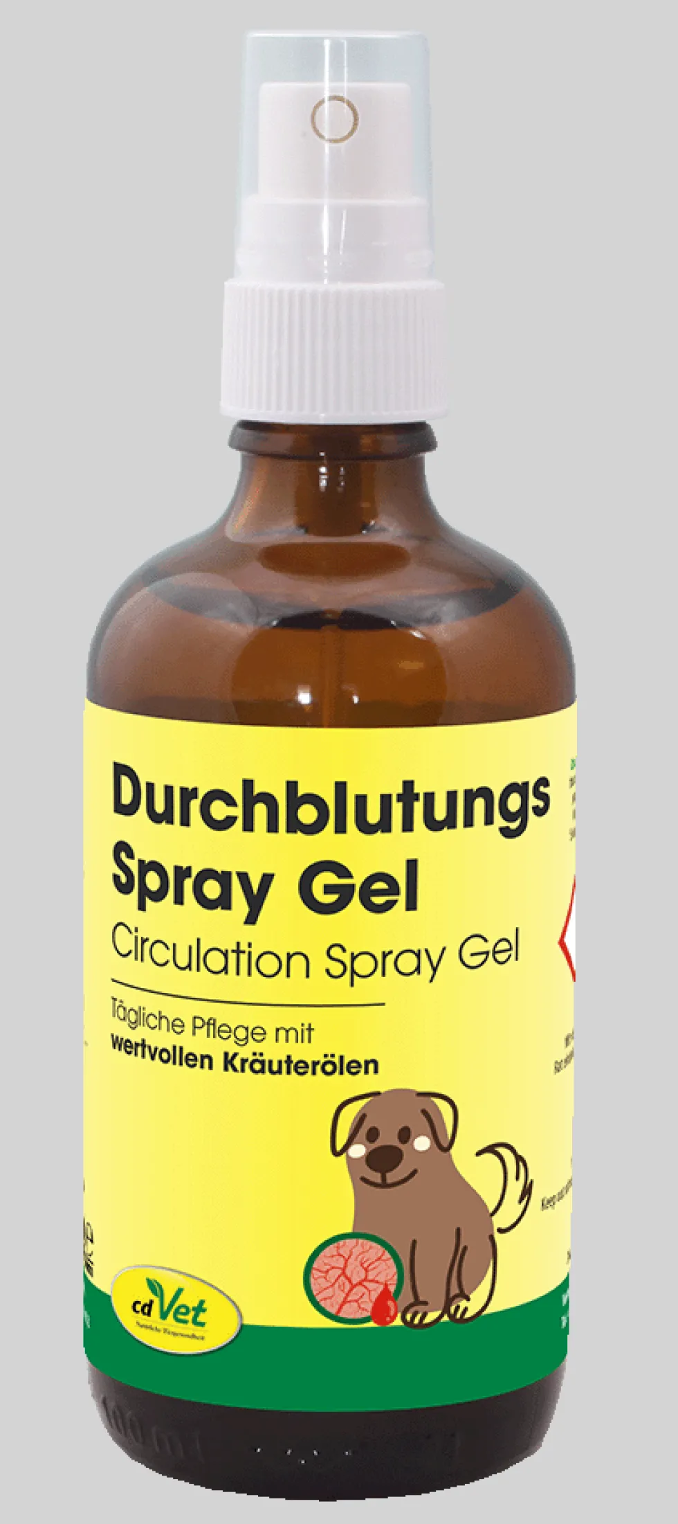 Durchblutungs Spray Gel 100 ml