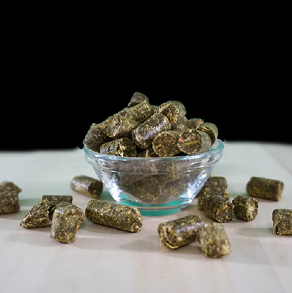 EquiGreen Bio-KräuterGrün Leckerlis 20 kg