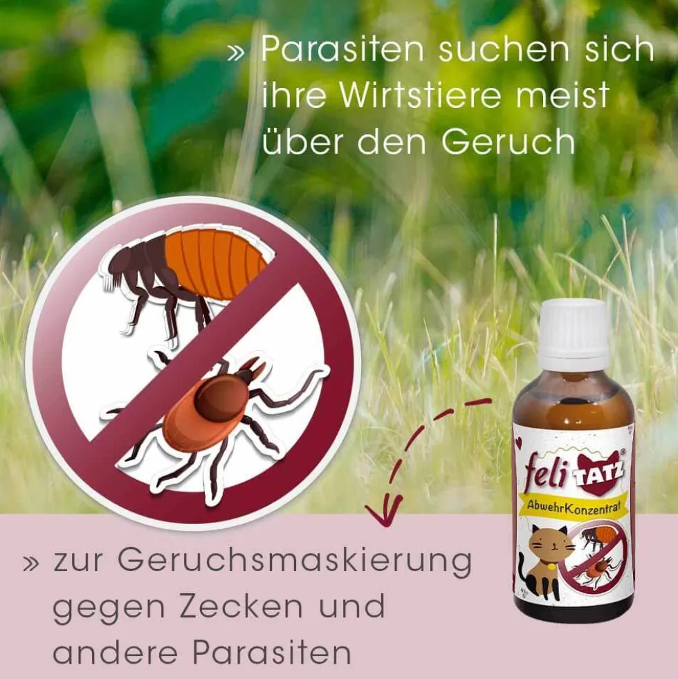 feliTATZ AbwehrKonzentrat 10 ml
