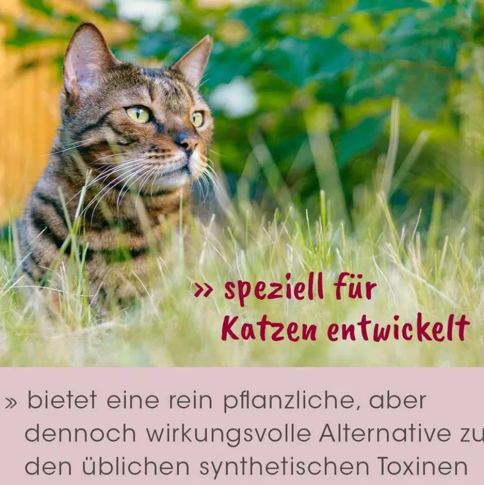 feliTATZ AbwehrKonzentrat 10 ml