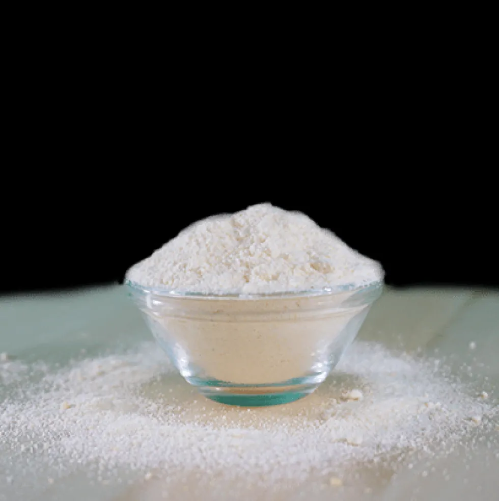 feliTATZ Kittenmilch 90 g
