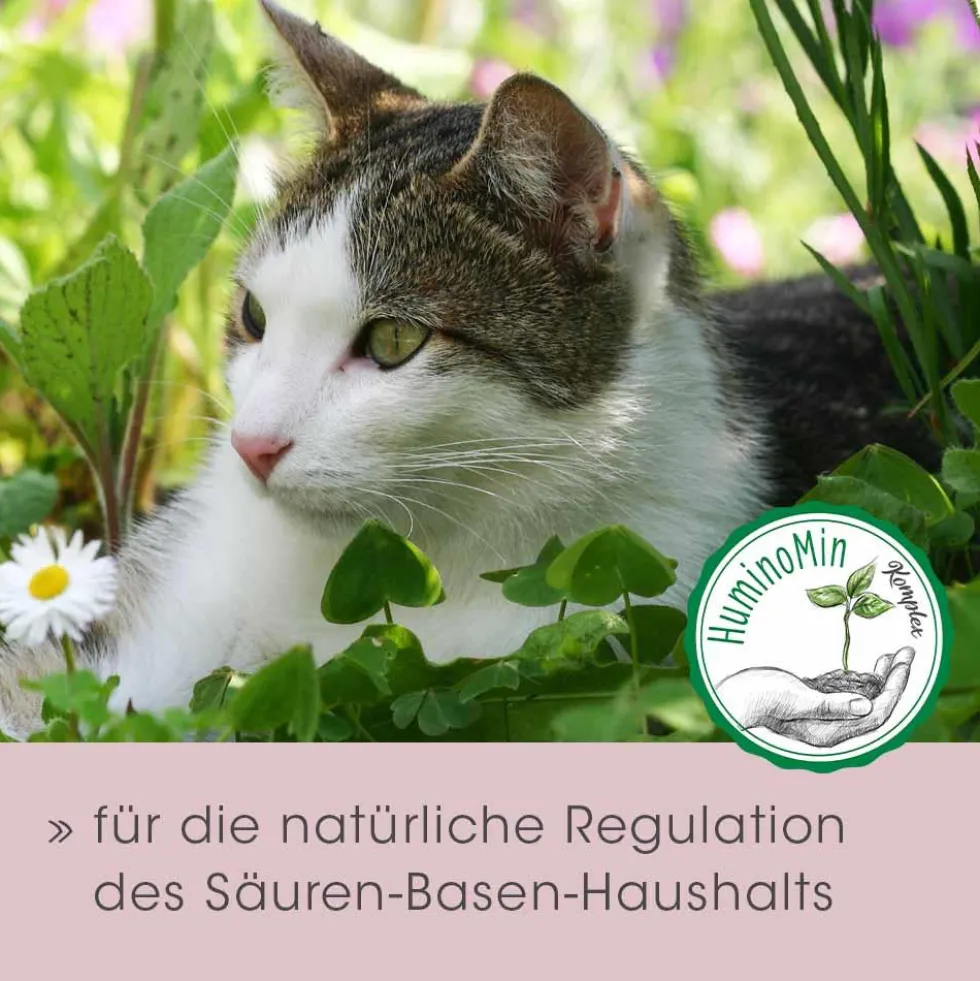 feliTATZ Magenschutz 25 g