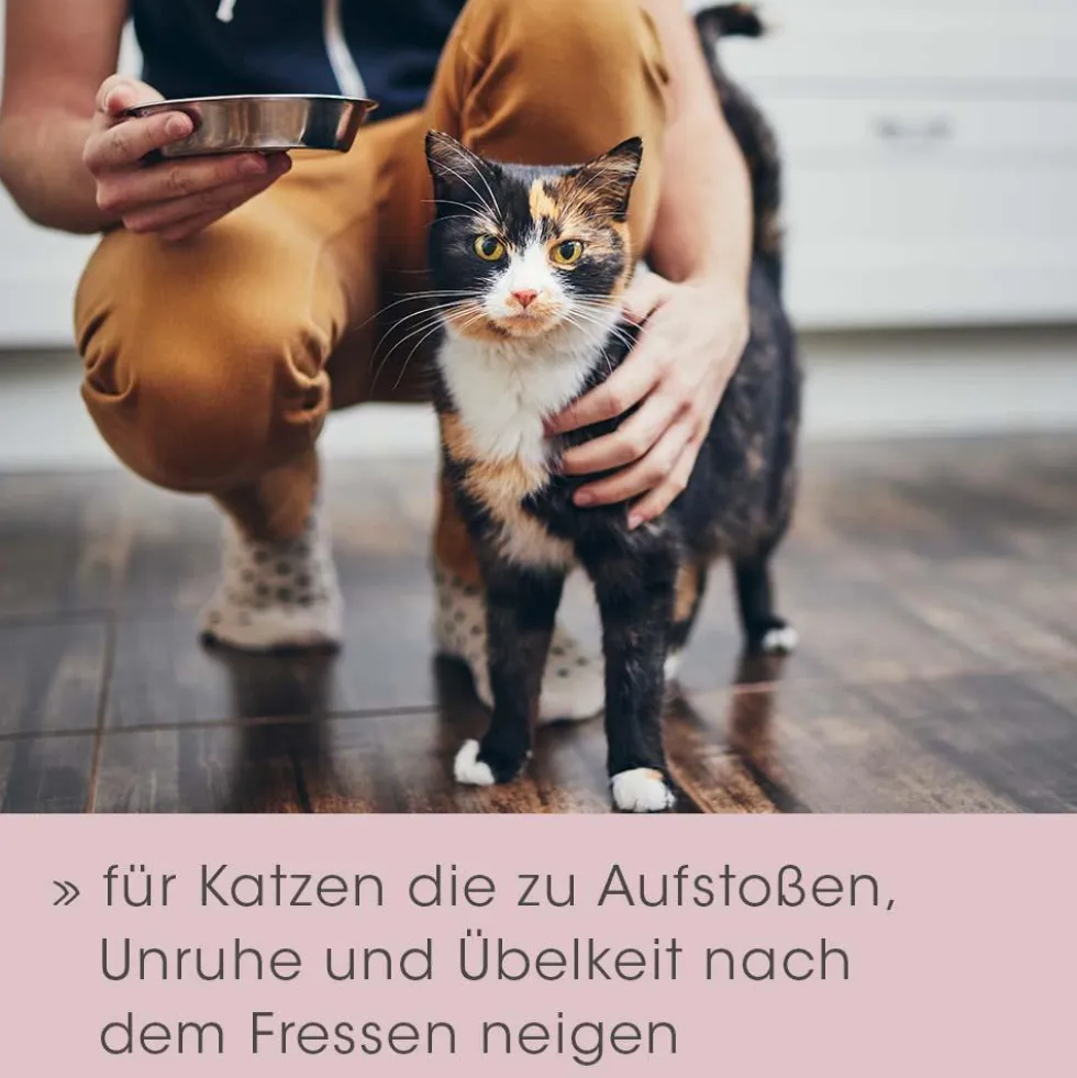 feliTATZ Magenschutz 25 g