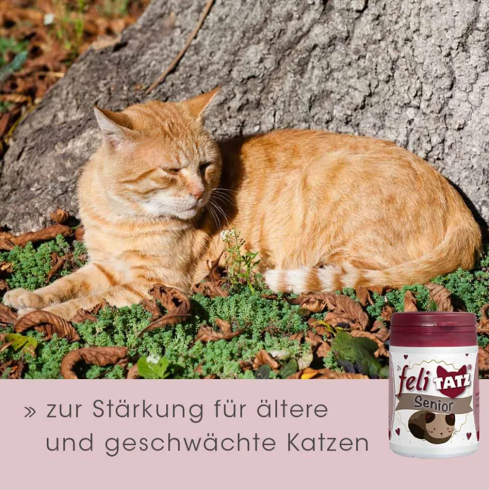 feliTATZ Senior 25 g