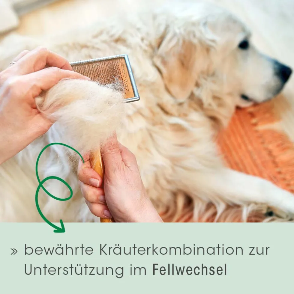 Fell & Haut Vital Hund & Katze 150 g