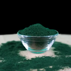 Fit-BARF Bio-Spirulina 36 g
