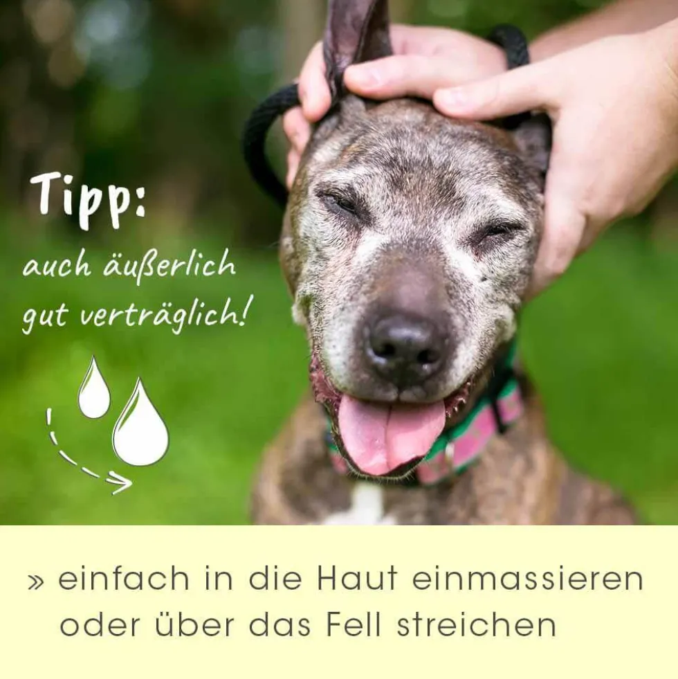 insektoVet Bio-Kokos-Schwarzkümmel-Öl 100 ml