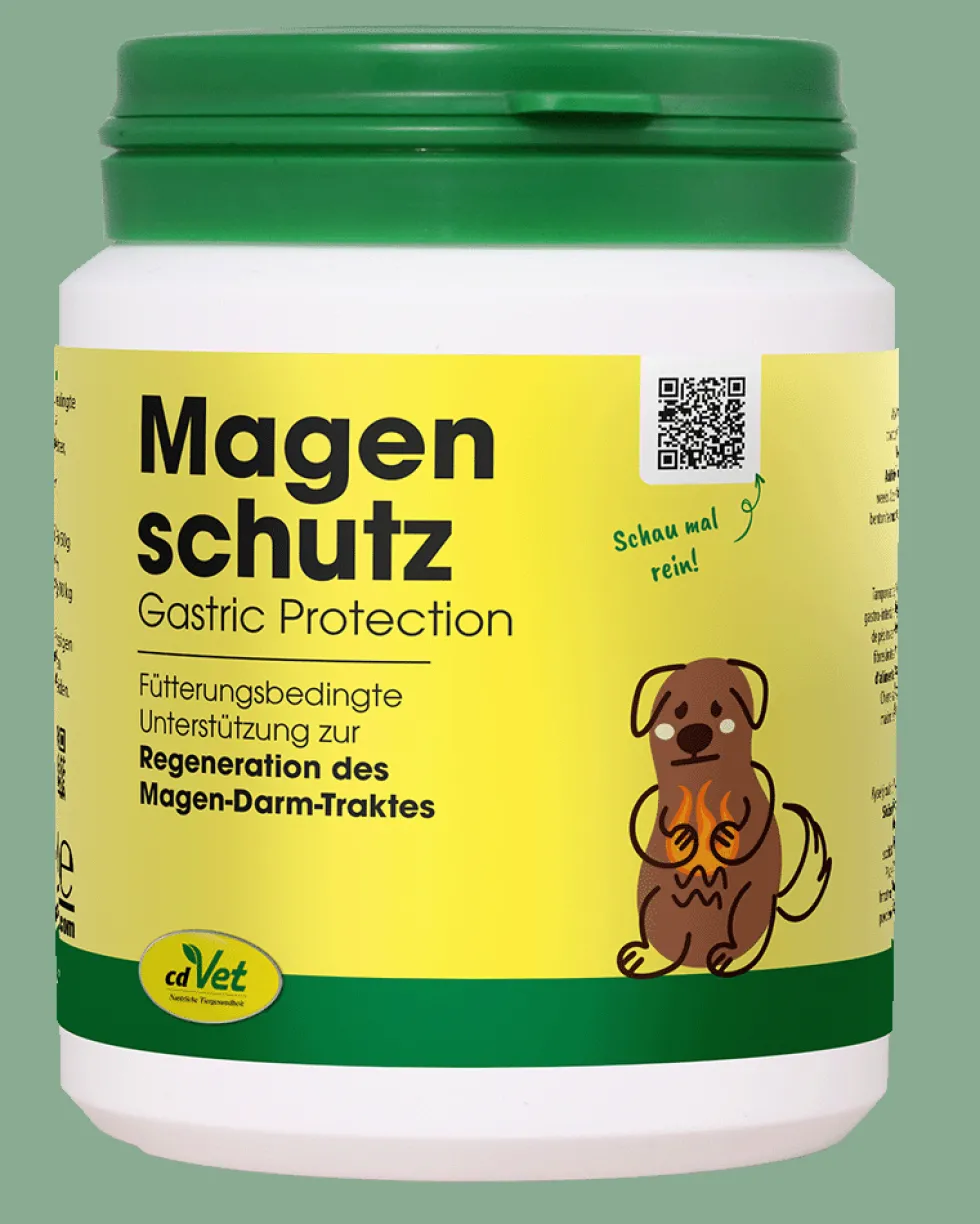 Magenschutz 60 g