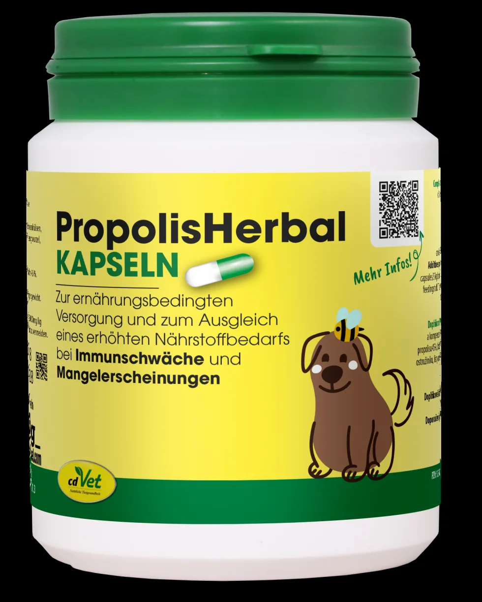 PropolisHerbal 100 Kapseln