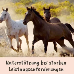 Singulares Ägyptisches Schwarzkümmelöl 100 ml