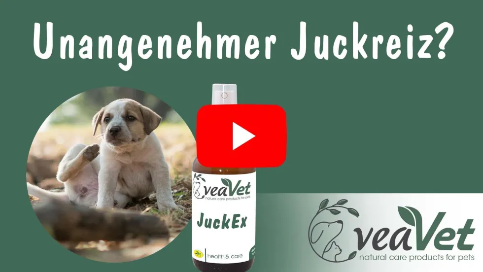 VeaVet JuckEx 20 ml