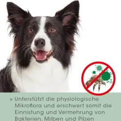 VeaVet Lebermoos Ohrspülung 100 ml