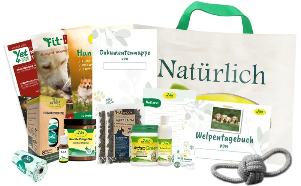 Welpen-Bundle Gelenke