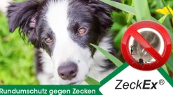 ZeckEx 20 ml
